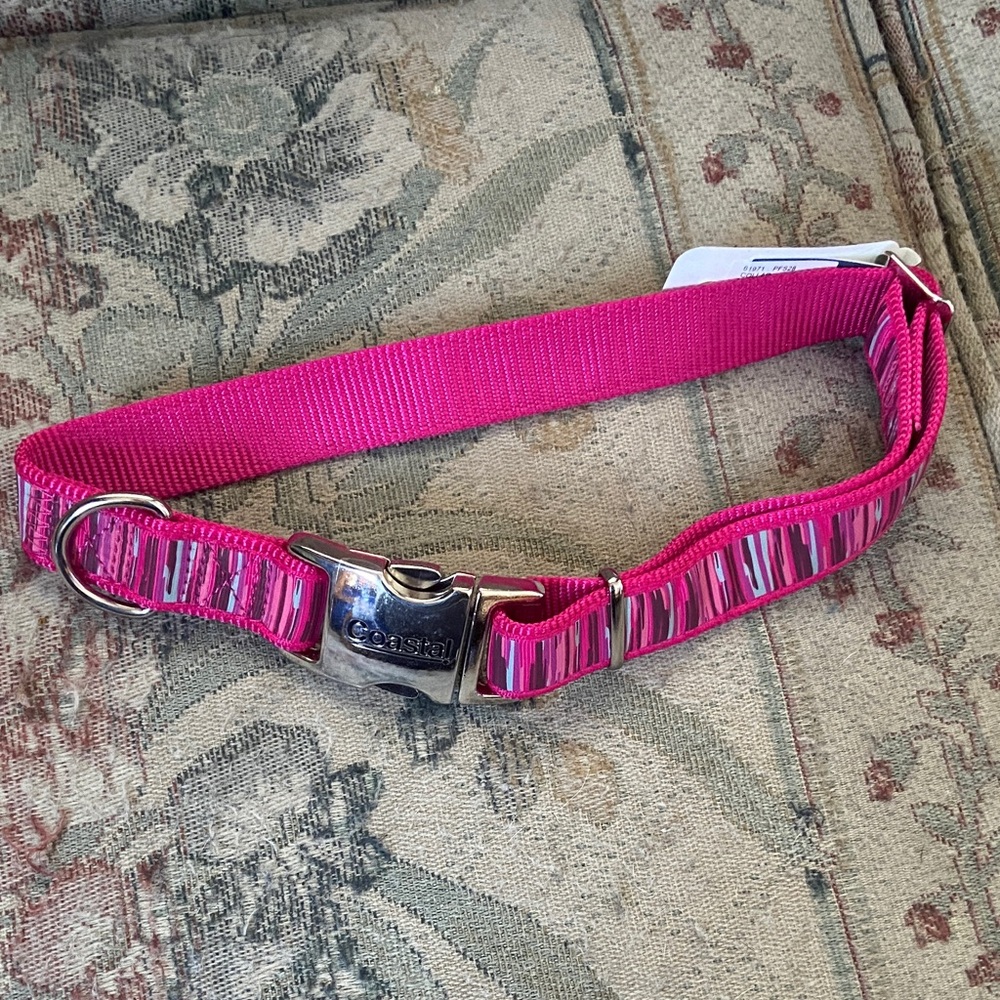 🧡 dog collar